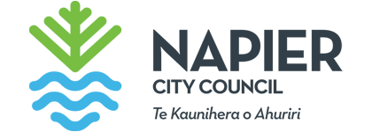 napier_council_logo.png